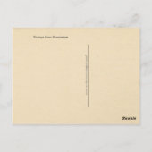 Carte Postale Illustration de Rose Vintage (Dos)