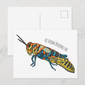 Carte Postale illustration de sauterelle de poteau de barbier de (Devant / Derrière)