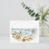 Carte Postale Illustration de Sea Creatures (Debout devant)