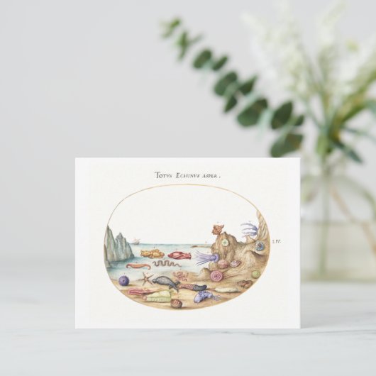 Carte Postale Illustration de Sea Creatures (Debout devant)