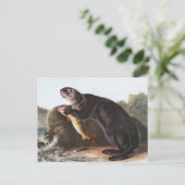 Carte Postale Illustration de Sea Otter (Marina Enhydra) (Debout devant)