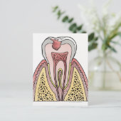 Carte Postale Illustration de section transversale montrant la c (Debout devant)