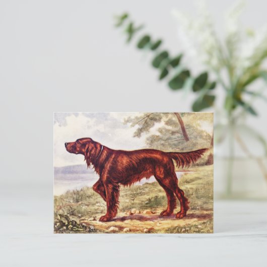 Carte Postale Illustration de Setter Irlandais Chien de Sport 19 (Debout devant)
