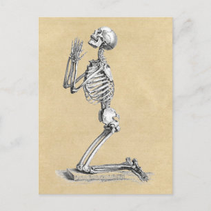 Carte Postale Illustration de squelette anatomique