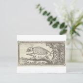 Carte Postale Illustration de squelette de caméléon (Debout devant)