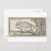 Carte Postale Illustration de squelette de caméléon (Devant / Derrière)