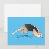Carte Postale Illustration de Tamandua (Devant / Derrière)
