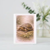 Carte Postale Illustration de Tortue Terrestre de Style Vintage (Debout devant)