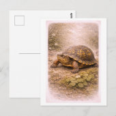 Carte Postale Illustration de Tortue Terrestre de Style Vintage (Devant / Derrière)