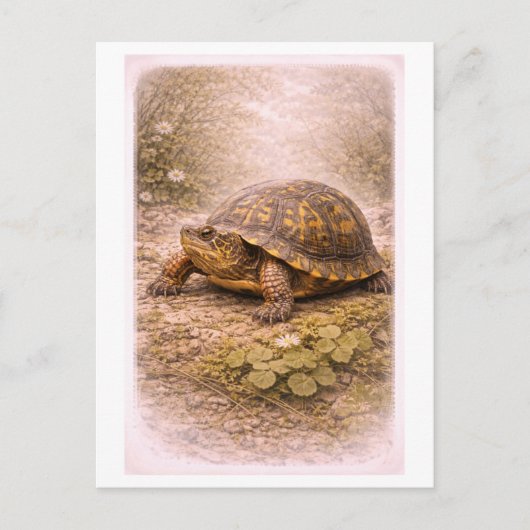 Carte Postale Illustration de Tortue Terrestre de Style Vintage (Devant)