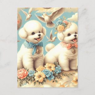 Carte Postale Illustration de vintage Cute Bichon Frisé