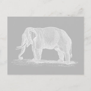 Carte Postale Illustration de White Elephant Vintage 1800