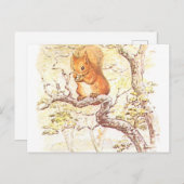 Carte Postale Illustration d'écureuil Beatrix Potter (Devant / Derrière)