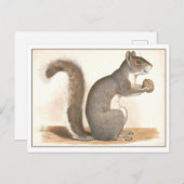 Carte Postale Illustration d'écureuil vintage (Devant / Derrière)