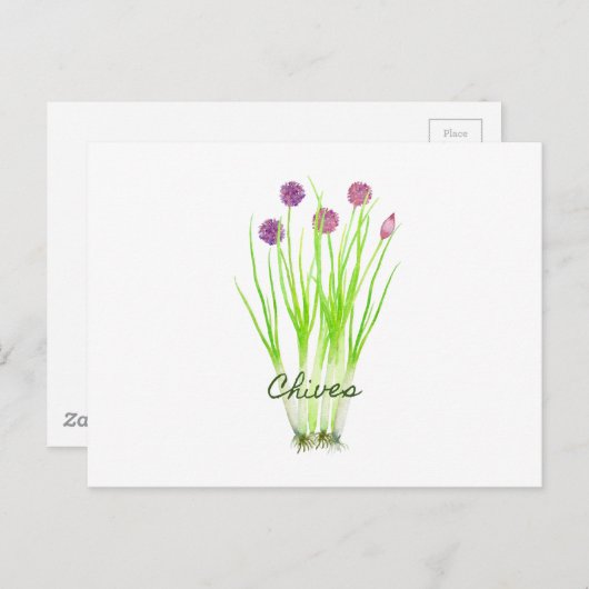 Carte Postale Illustration des ciboues d'herbe d'aquarelle (Devant / Derrière)