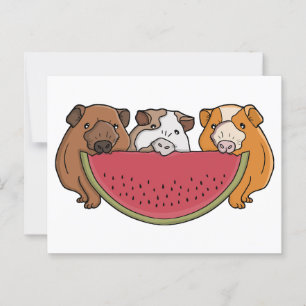 Carte Postale Illustration des Cochons de Guinée et de la pastèq