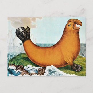 Carte Postale Illustration des éléphants de mer (Zotl)