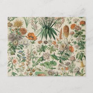 Carte Postale Illustration des fleurs vintages Adolphe Millot