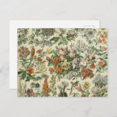 Carte Postale Illustration des fleurs vintages Adolphe Millot (Devant / Derrière)