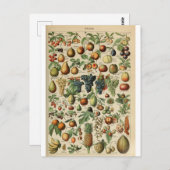 Carte Postale Illustration des fruits du dictionnaire (Devant / Derrière)