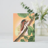 Carte Postale Illustration des insectes du Canada (Debout devant)