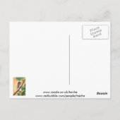 Carte Postale Illustration des insectes du Canada (Dos)