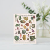 Carte Postale Illustration des légumes (Debout devant)