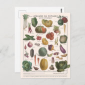 Carte Postale Illustration des légumes (Devant / Derrière)
