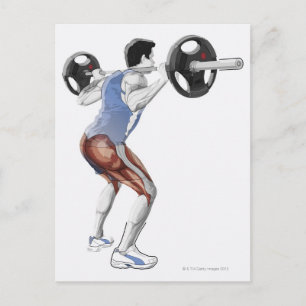 Carte Postale Illustration des muscles utilisés par l'homme pour