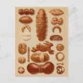 Carte Postale Illustration des pains allemands à partir d'un man (Devant)