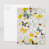 Carte Postale Illustration des papillons (Devant / Derrière)