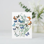 Carte Postale Illustration des papillons vintages (Debout devant)