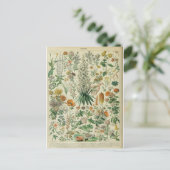Carte Postale Illustration dictionnaire fleurs (Debout devant)