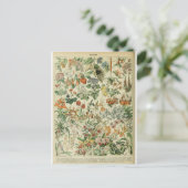 Carte Postale Illustration dictionnaire fleurs (Debout devant)