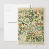 Carte Postale Illustration dictionnaire fleurs (Devant / Derrière)