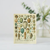 Carte Postale Illustration dictionnaire oeufs (Debout devant)