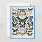 Carte Postale Illustration dictionnaire papillons (Devant / Derrière)