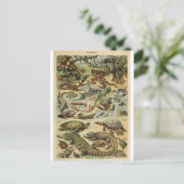 Carte Postale Illustration dictionnaire reptiles (Debout devant)