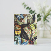 Carte postale Illustration d'insectes vintage (Debout devant)