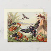 Carte Postale Illustration d'insectes vintages (Devant / Derrière)