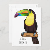 Carte Postale Illustration d'oiseau toucain à bec de Keel (Devant / Derrière)