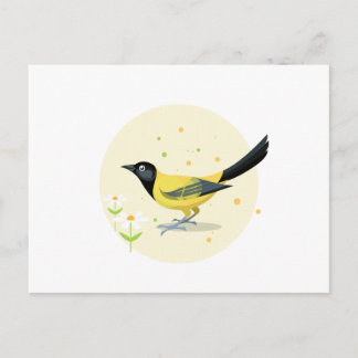Carte Postale Illustration d'oiseaux