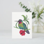 Carte postale Illustration d'oiseaux Colibri (Debout devant)