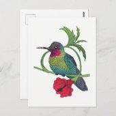 Carte postale Illustration d'oiseaux Colibri (Devant / Derrière)