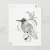 Carte postale Illustration d'oiseaux Colibri (Devant / Derrière)