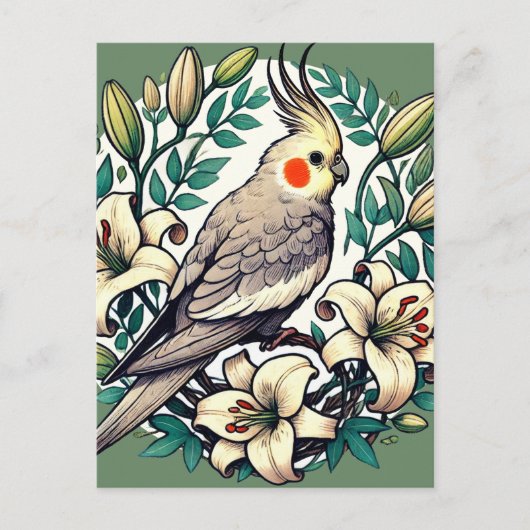 Carte Postale Illustration d'oiseaux de Cockatiel (Devant)