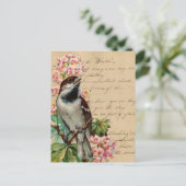 Carte Postale Illustration d'oiseaux victoriens 2 (Debout devant)