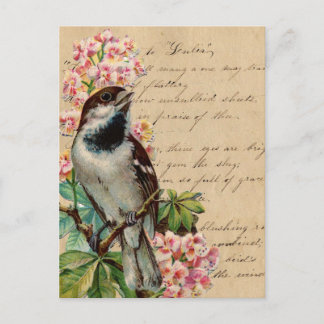 Carte Postale Illustration d'oiseaux victoriens 2