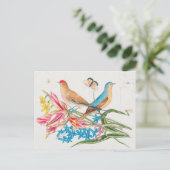 Carte Postale Illustration d'oiseaux vintages (Debout devant)