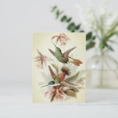 Carte Postale Illustration d'oiseaux vintages (Debout devant)